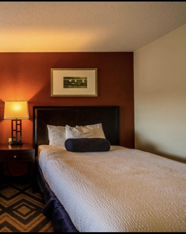 The Patch Lodge Warroad Экстерьер фото